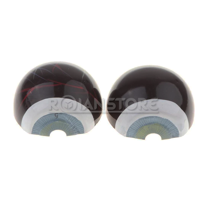 Modelo Anatómico de Estudio Ojo Órganos Extraibles 8 cm